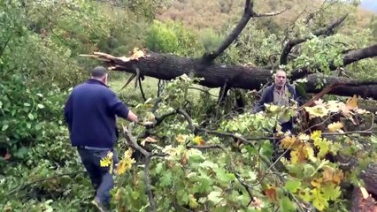 Hortum ev ve ağaçlara zarar verdi - BOLU