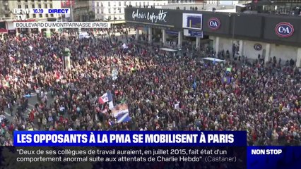 Download Video: PMA pour toutes: plusieurs milliers de personnes rassemblés à Montparnasse contre le projet de loi