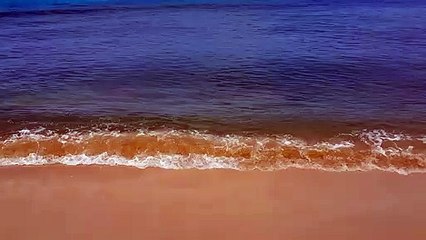 Beautiful Sandy Tropical Beach - Caribbean - Barbados
