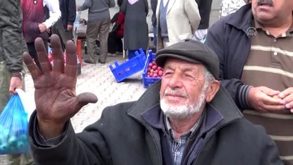 28. Kaman Ceviz, Kültür ve Sanat Festivali