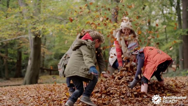 Allergy sufferers beware, its not just the spring you have to worry about, fall allergies exist too