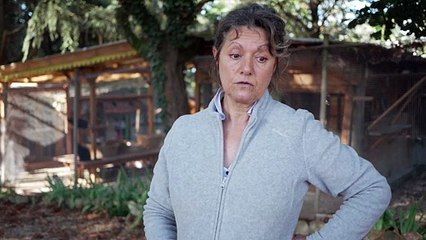 "Si chacun faisait stériliser son chat, il y en aurait moins dans les rues"