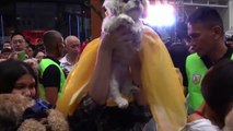 Cientos de mascotas, bendecidas en Filipinas