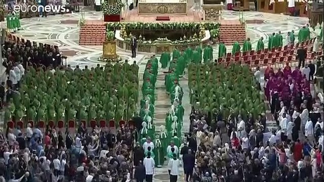 Il Papa al Sinodo per l'Amazzonia: No all'avidità dei nuovi colonialismi