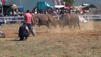 Kafaca arenasında kıran kırana güreş
