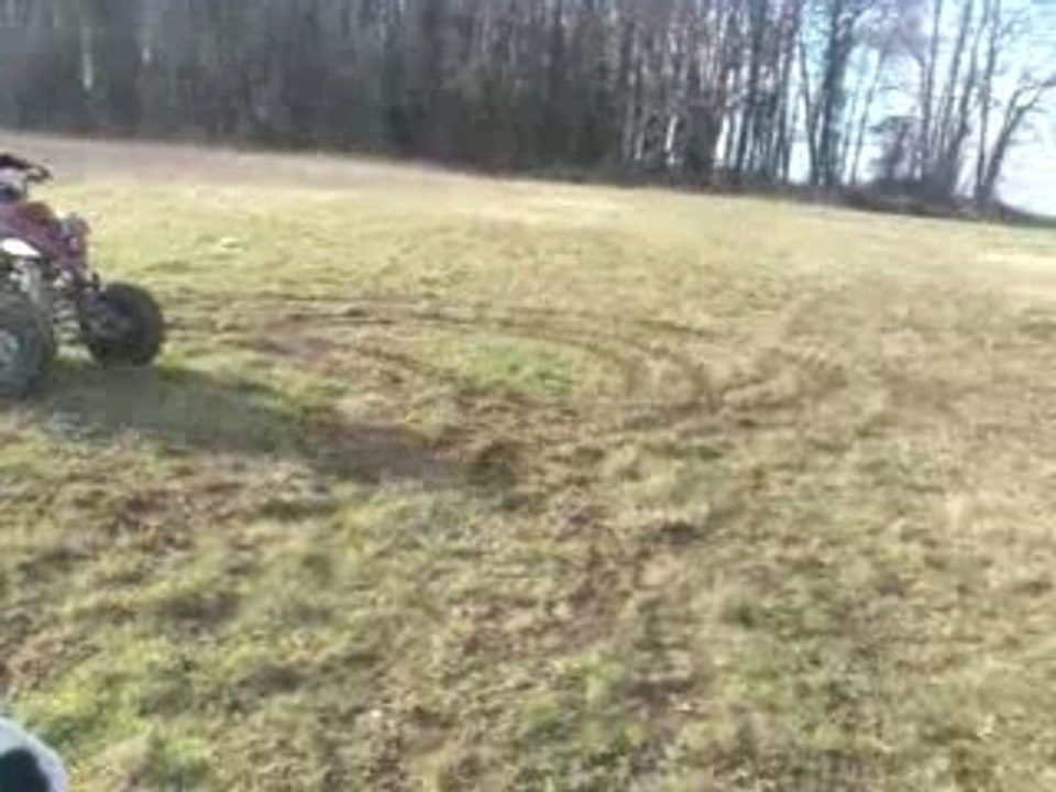 700 raptor 60180
