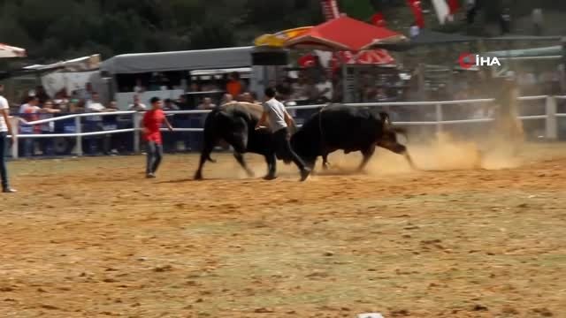 Kafaca arenasında kıran kırana güreş