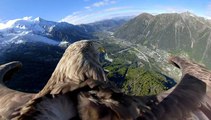 El impresionante vídeo de las consecuencias del calentamiento global, visto a través de los ojos de un águila
