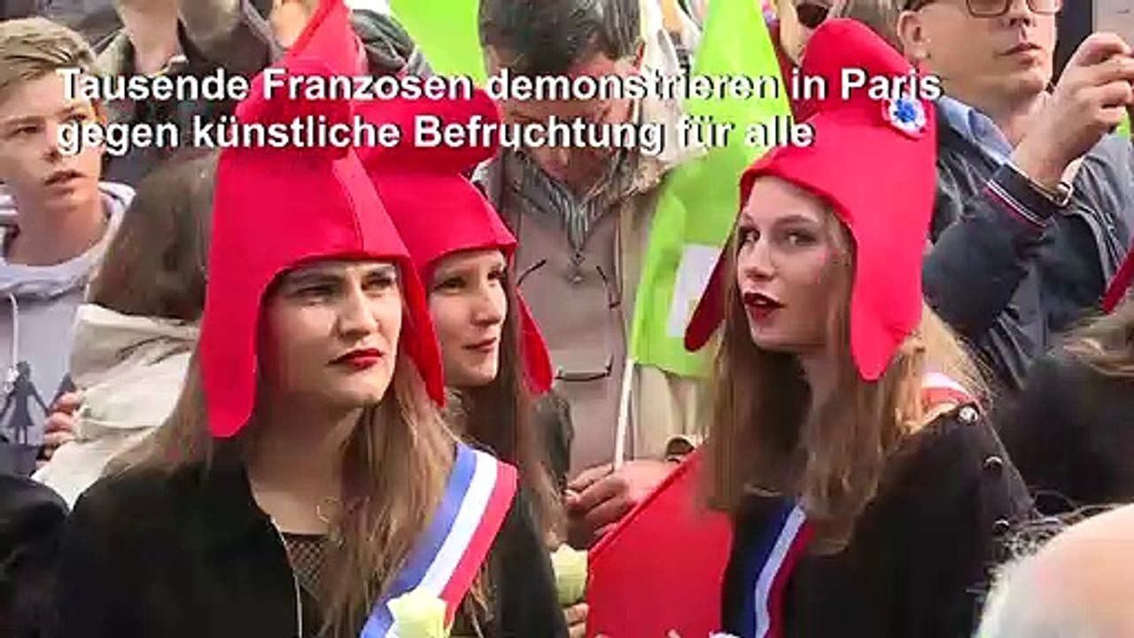 Tausende Franzosen demonstrieren gegen künstliche Befruchtung für alle