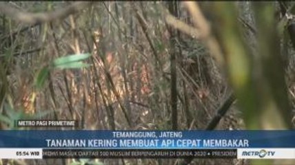 Kawasan Hutan di Lereng Gunung Sumbing Kembali Terbakar