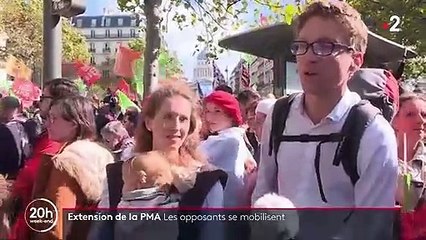 PMA pour toutes : les opposants au projet de loi se mobilisent à Paris