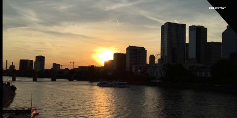 GOLDEN TREE 2019 : The Fourth  International Documentary Film Festival