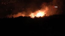 Samandağ'da zeytinlik alanda korkutan yangın