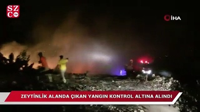 Samandağ’da zeytinlik alanda korkutan yangın