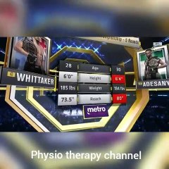 israel adesanya vs robert whittaker