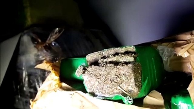 Denarc apreende 336 quilos de maconha em veículo, na BR-277