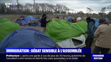 Le débat sur l’immigration voulu par Emmanuel Macron démarre ce lundi à l'Assemblée nationale