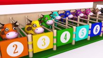 BABY BEAR  Aprende los números y los colores con vacas de juguete