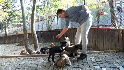 Barınaktan köpek sahiplenenlere uyarı