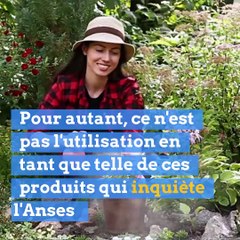 Attention, les pesticides sont aussi chez vous !