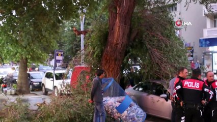 Etkili olan fırtına ağaçları devirdi, çatıları uçurdu