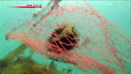 Japanology Plus - Ocean Fishing