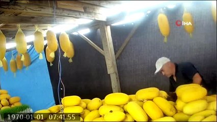 Komşusuna zarar vermek için yüzlerce kavunu bıçakla böyle parçaladı