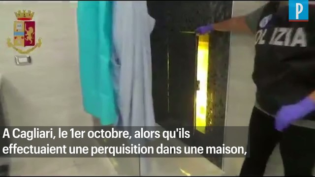 Une plantation de cannabis découverte derrière une cabine de douche
