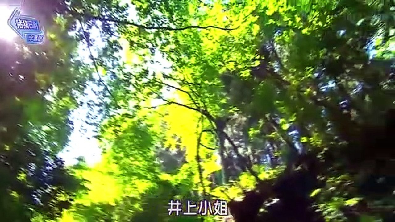 家有六子08