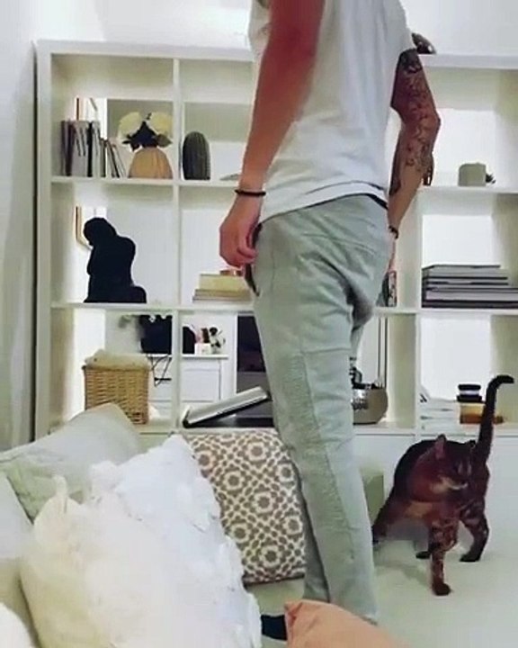 Un chat qui rate son saut, impossible ?