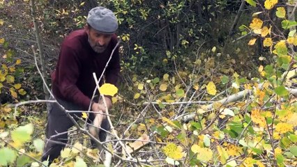 Doğu Karadeniz 'güz renkleri' ile bir başka güzel