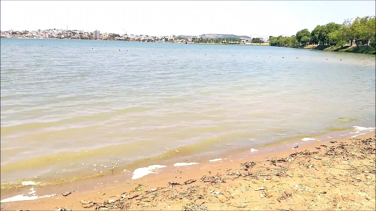 12 ensinamentos de São Francisco de Assis conheça os mais famosos mais oração