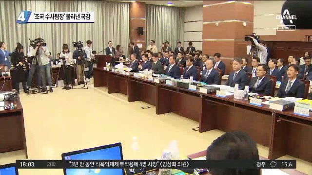 ‘조국 수사팀장’ 불러낸 국감