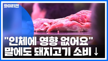 돼지고기 소비 '급감'...소·닭고기 판매는↑ / YTN