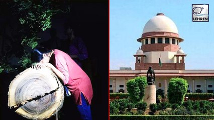"No Further Cutting Of Trees Needed": SC On Aarey Standoff