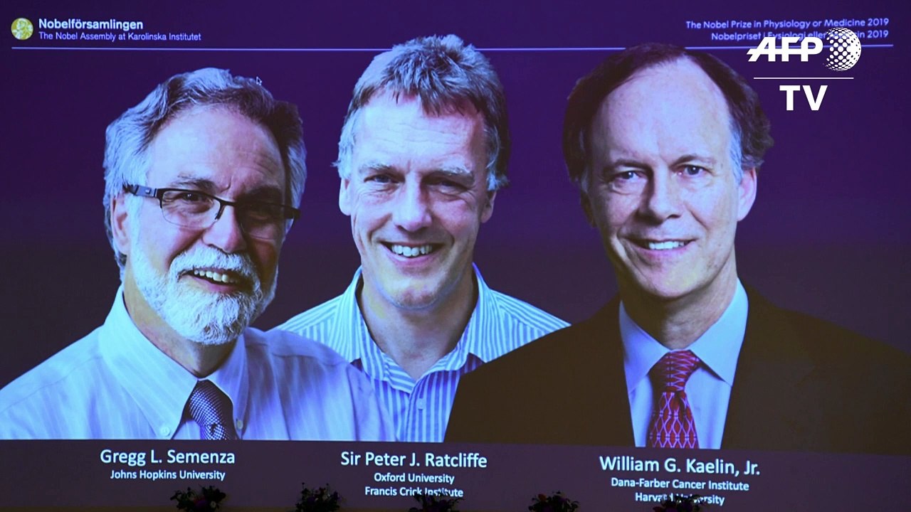 Medizinnobelpreis geht an US-Forscher Kaelin und Semenza und Briten Ratcliffe