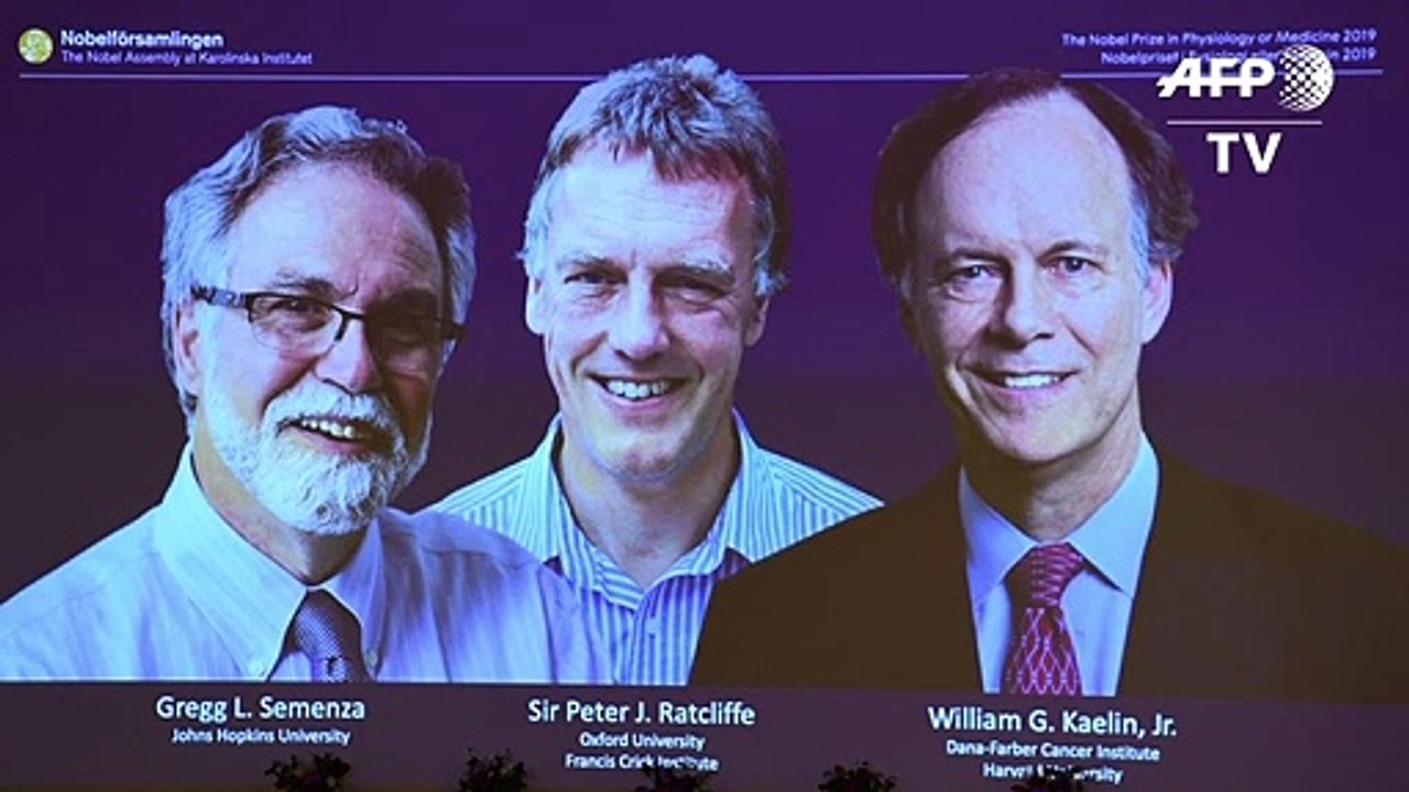 Medizinnobelpreis geht an US-Forscher Kaelin und Semenza und Briten Ratcliffe