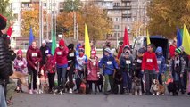 Unusual event sees canines of all sizes compete in dog walking race in Russia