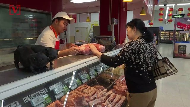 Chinese Hog Farmers Reportedly Breeding Pigs as Heavy as Polar Bears Amid Pork Shortage