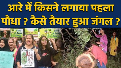 Jawaharlal Nehru ने Aarey में लगाया था पहला पौधा, फिर ऐसे बना जंगल। वनइंडिया हिंदी