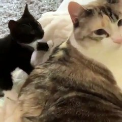 Instant Karma is real ! A mourir de rire