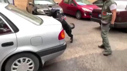 Kahramanmaraş'ta 7 kilo 300 gram esrar ele geçirildi, 3 kişi gözaltına alındı