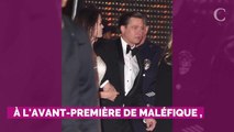 PHOTOS. Angelina Jolie, Christina Aguilera, Will Smith… Ces stars qui font des tapis rouges en famille