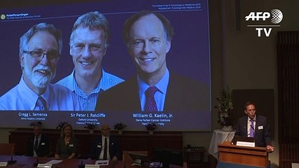 Nobel de Medicina premia dois americanos e um britânico