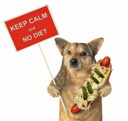 La dieta del 5% le dice adiós al hambre