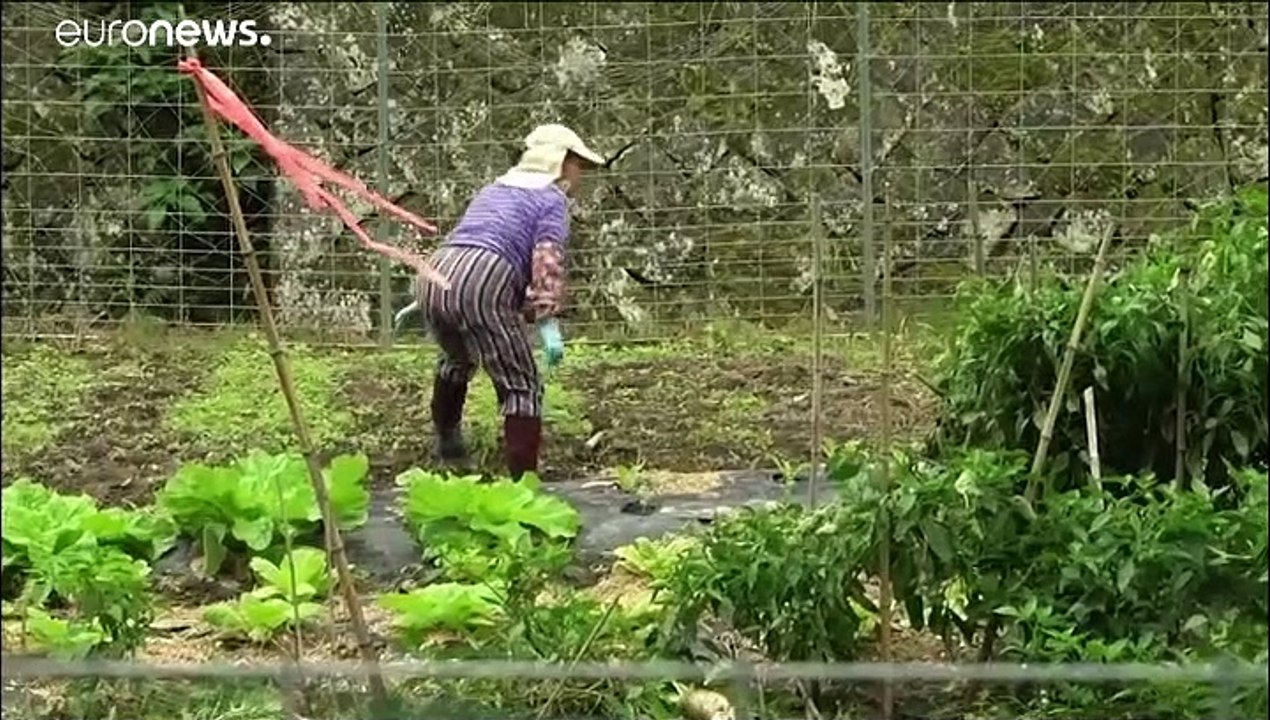 Mit dem Klapprad zur Rugby-WM in Japan