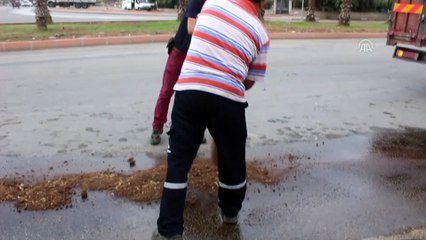 Trafik kazası: 1 yaralı - ADANA