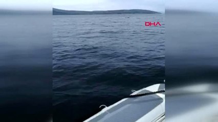 Çeşme'de botları batan kaçaklar, kurtarıldı