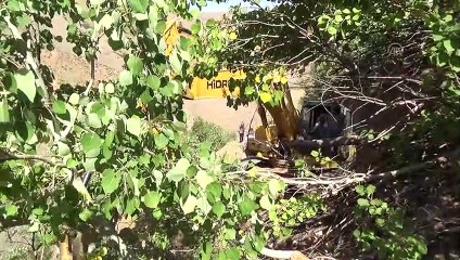 Terörden arındırılan bölgelere 75 milyon liralık yatırım - MUŞ