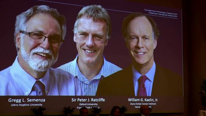 노벨 생리의학상 美 케일린 등 3명 공동수상..."세포가 산소농도에 적응하는 과정 규명" / YTN